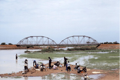 photo of steel bowstring girder bridge